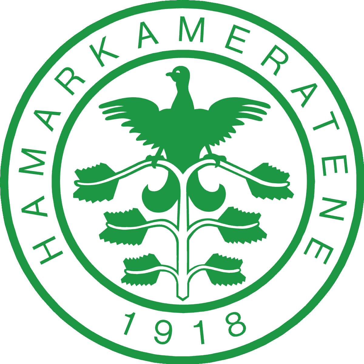 Hamarkameratene_logo.svg.png